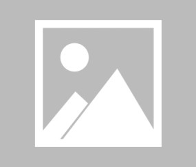 九游-关于库里迎来五赛季高光表现，加拿大队球迷沸腾！的信息